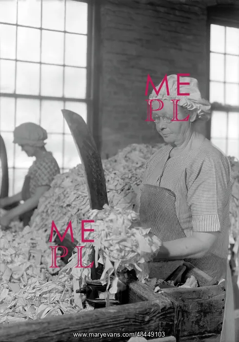 : Rag sorting at the American Writing Paper Co. 1936 : Rag sorting at the American Writing Paper Co. 1936