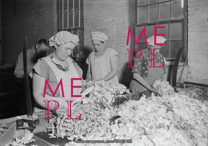 : Rag sorting at the American Writing Paper Co. 1936 : Rag sorting at the American Writing Paper Co. 1936
