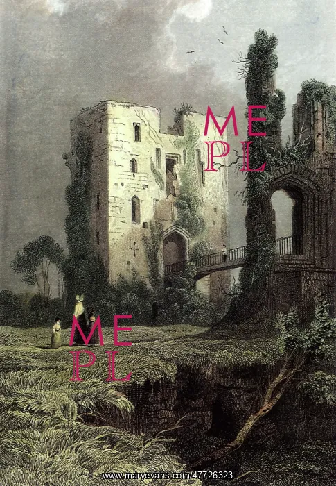  : Raglan Castle