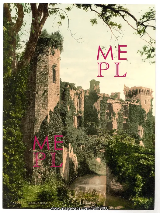 : Raglan Castle, III. England : Raglan Castle, III. England