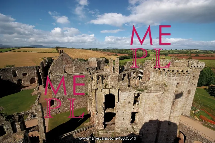 : Raglan Castle, near Raglan, Gwent : Raglan Castle, near Raglan, Gwent