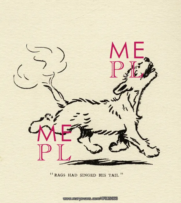 : Rags the dog singes his tail : Rags the dog singes his tail