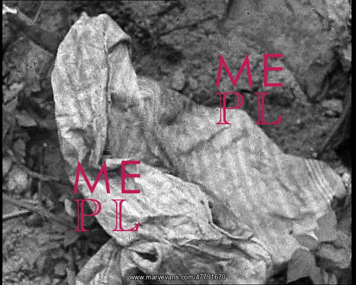 : The Rags Supposedly From the Corpse Of Fuhrer : The Rags Supposedly From the Corpse Of Fuhrer
