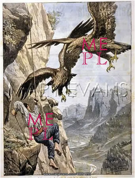 : RAID ON EAGLE'S NEST : RAID ON EAGLE'S NEST