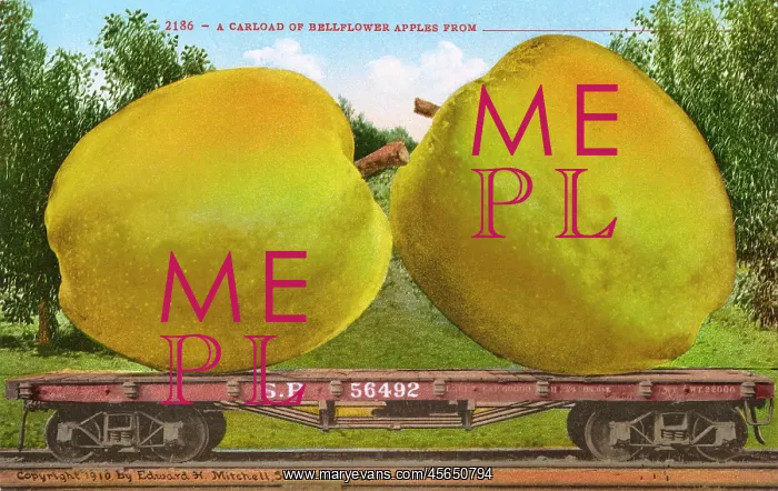 : Rail car transporting giant Bellflower apples : Rail car transporting giant Bellflower apples