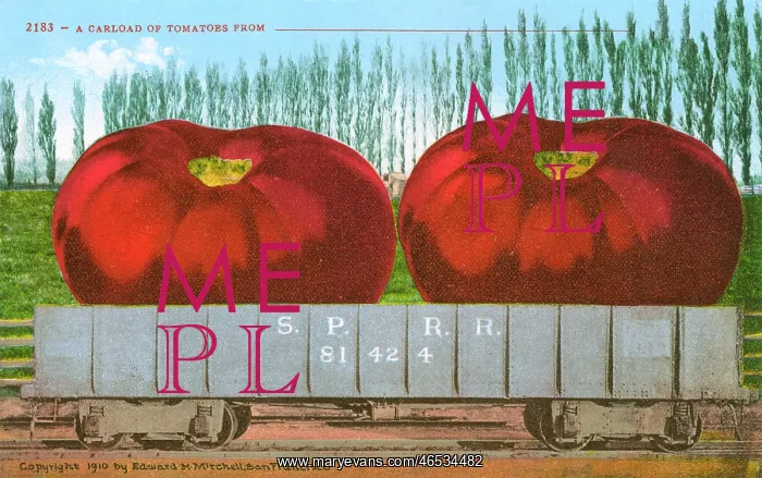 : Rail car transporting giant tomatoes : Rail car transporting giant tomatoes
