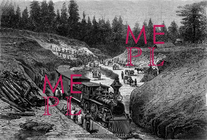  : RAIL / USA / DIXIE CUTTING