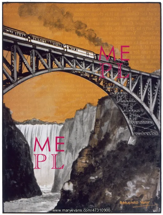 : Rail in Zambesi River : Rail in Zambesi River