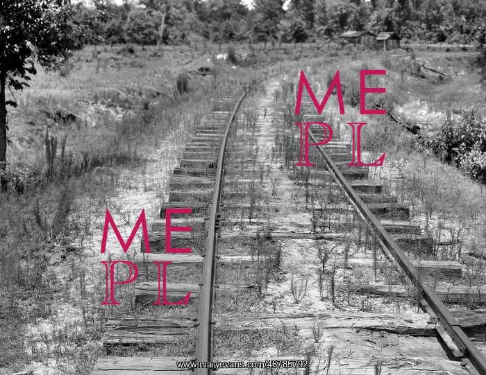 : Railroad track - freight - transportation - Florida : Railroad track - freight - transportation - Florida