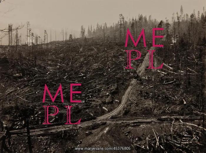 : Railroad tracks run through clear cut with : Railroad tracks run through clear cut with