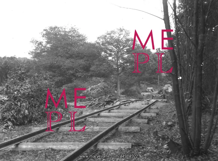 : Railway in Barnehurst woods : Railway in Barnehurst woods