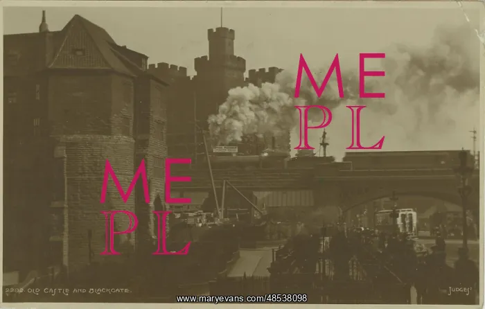 : The Railway Bridge and Castle : The Railway Bridge and Castle