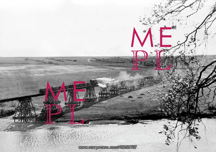 : Railway bridge over the Don, 1942 : Railway bridge over the Don, 1942