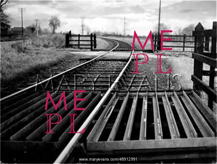 : RAILWAY CATTLE GRID : RAILWAY CATTLE GRID