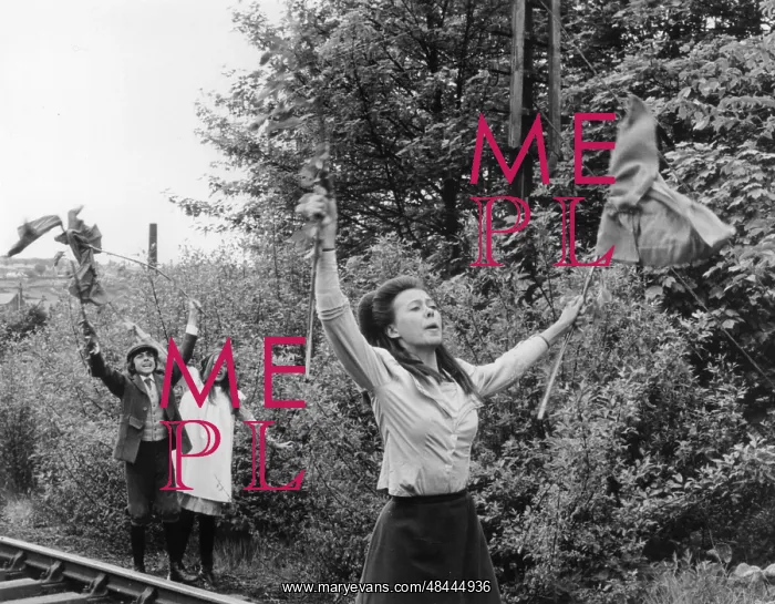 : THE RAILWAY CHILDREN : THE RAILWAY CHILDREN
