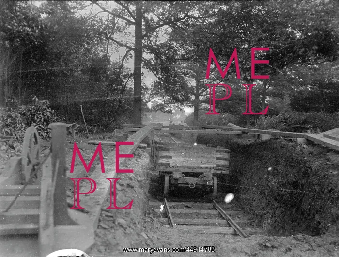 : Railway cutting in Barnehurst woods : Railway cutting in Barnehurst woods