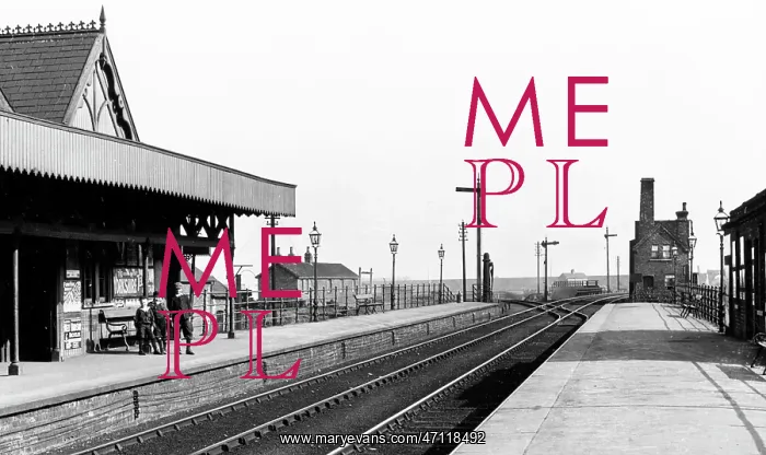  : Railway Station, Crowle