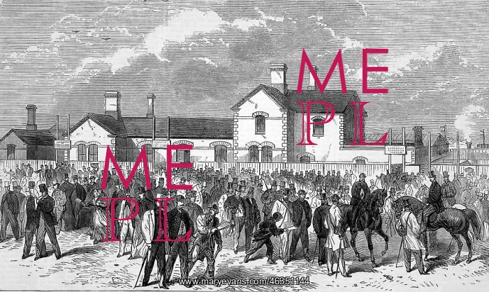 : Railway station at Epsom 1865 : Railway station at Epsom 1865