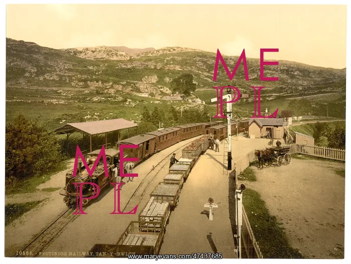 : Railway, Tan-y-Bwlch, Festiniog (i.e. Ffestiniog), Wales : Railway, Tan-y-Bwlch, Festiniog (i.e. Ffestiniog), Wales