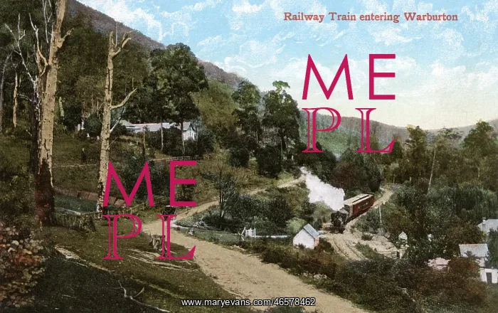 : Railway Train entering Warburton, Victoria, Australia : Railway Train entering Warburton, Victoria, Australia