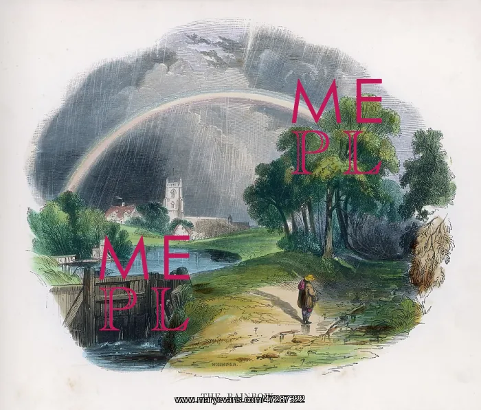 : RAINBOW / J.W.WHIMPER : RAINBOW / J.W.WHIMPER