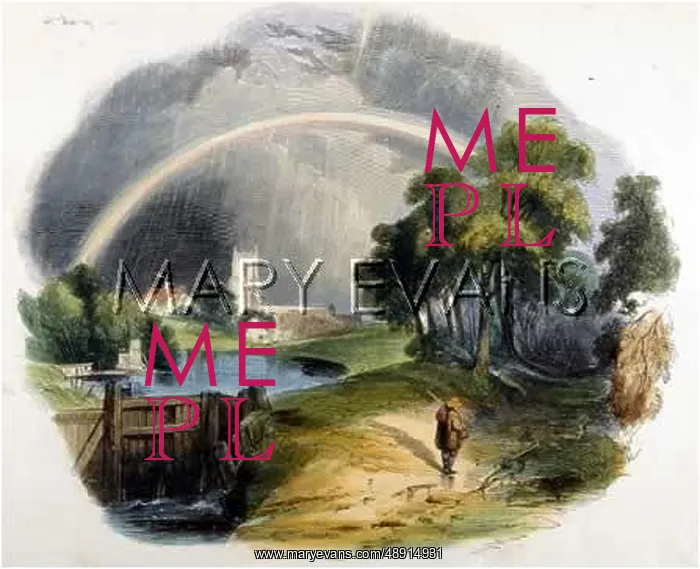  : RAINBOW IN RAIN