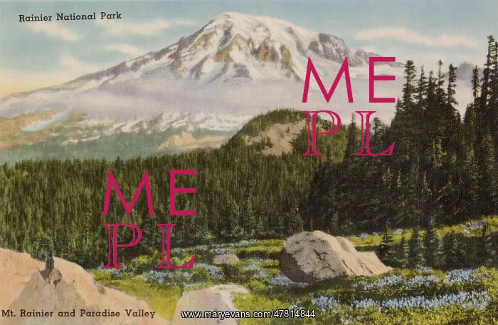 : Rainier National Park, Washington State, USA : Rainier National Park, Washington State, USA