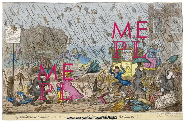  : Raining Cats and Dogs