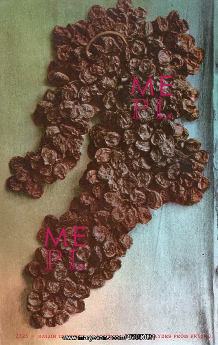 : Raisin Industry, California, US : Raisin Industry, California, US