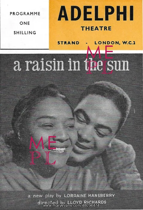 : A Raisin in the Sun (programme cover) : A Raisin in the Sun (programme cover)