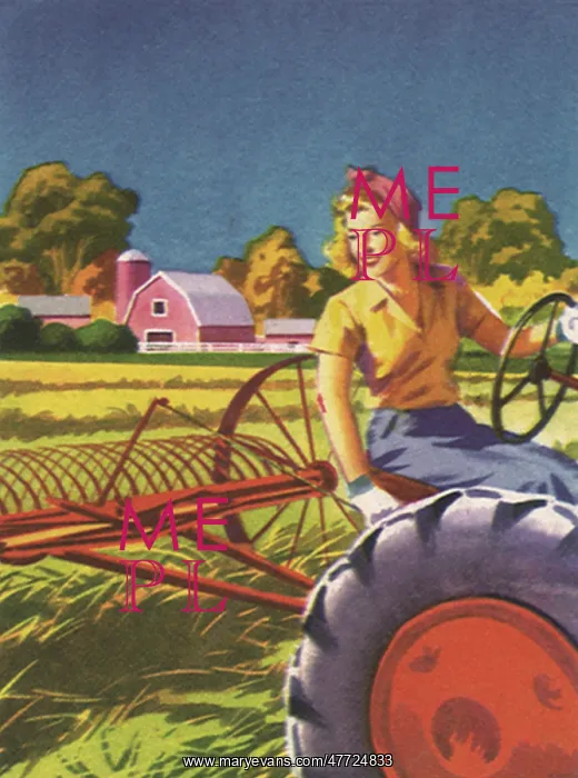  : Raking Hay