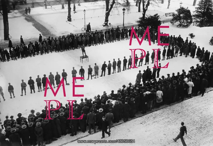 : Rally of students in front of the Berlin TH, 1933 : Rally of students in front of the Berlin TH, 1933