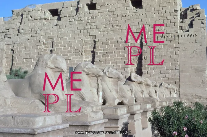 : RAM-HEADED SPHINXES : RAM-HEADED SPHINXES