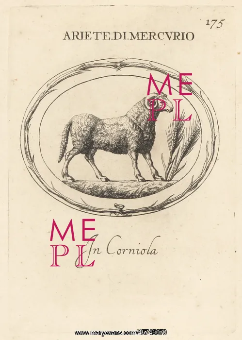 : Ram of the Roman god Mercury : Ram of the Roman god Mercury