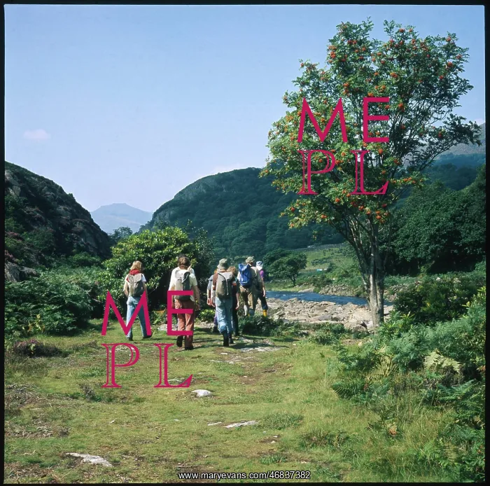  : RAMBLERS 1970S