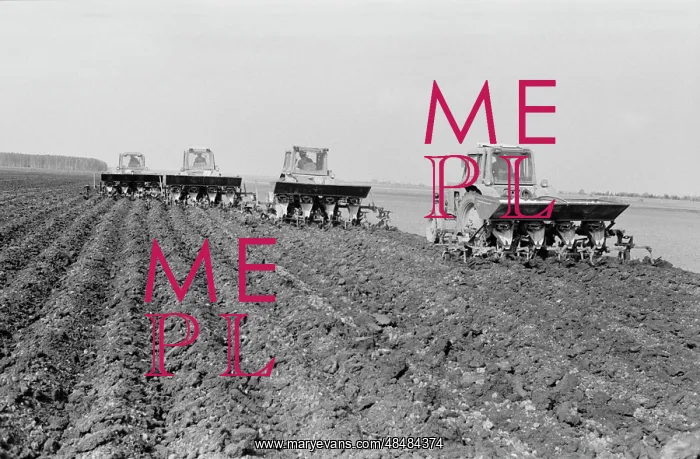 : Ramensky Agroindustrial Complex : Ramensky Agroindustrial Complex