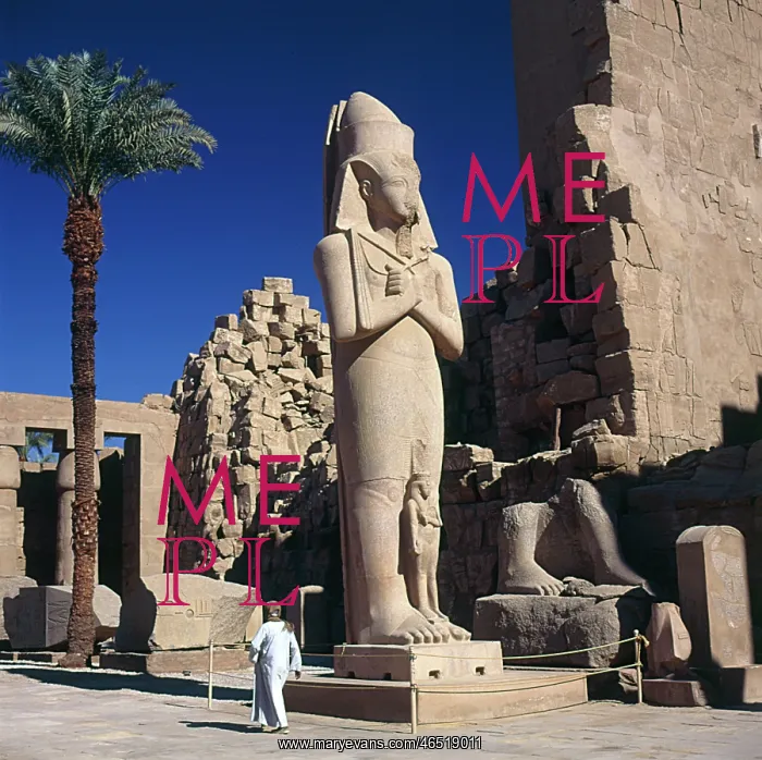 : RAMESES II COLOSSUS : RAMESES II COLOSSUS