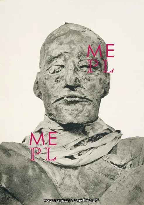 : RAMESES III / MUMMY : RAMESES III / MUMMY