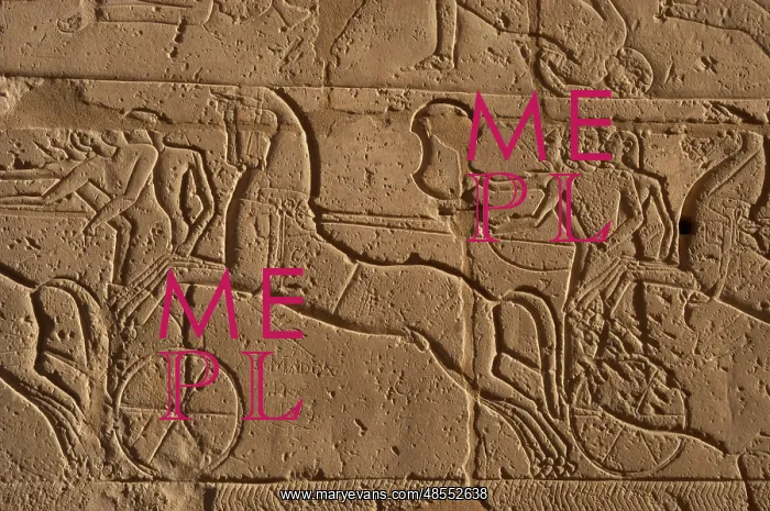 : Ramesseum. Army during a battle. Relief. Egypt : Ramesseum. Army during a battle. Relief. Egypt
