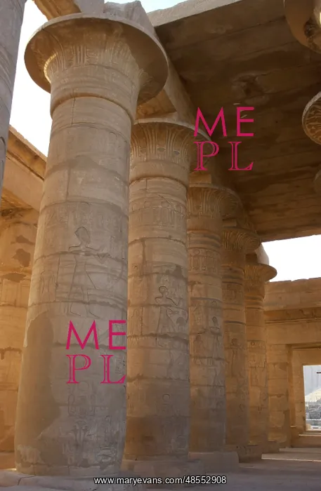 : Ramesseum. Colonnade with capitals shaped as lotus. Egypt : Ramesseum. Colonnade with capitals shaped as lotus. Egypt