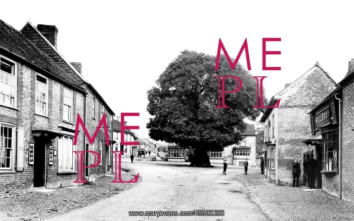  : Ramsbury, High Street 1906