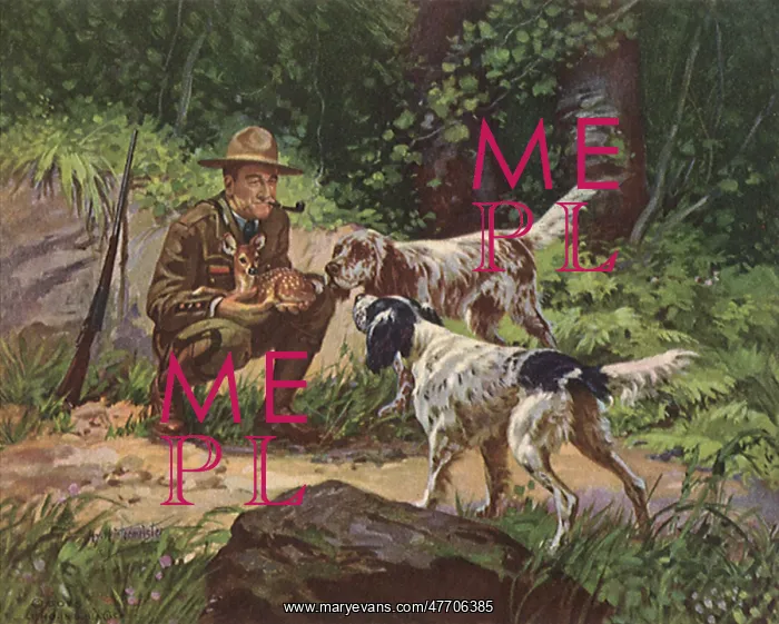 : Ranger, Dogs and Fawn : Ranger, Dogs and Fawn