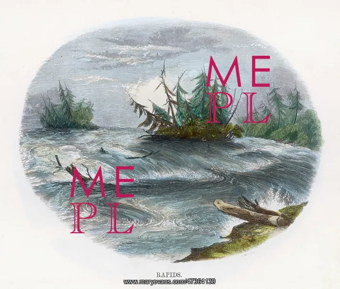  : RAPIDS (WHIMPER)
