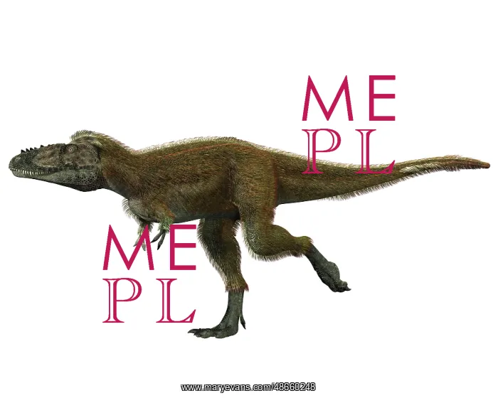 : Raptorex dinosaur, side view on white background : Raptorex dinosaur, side view on white background