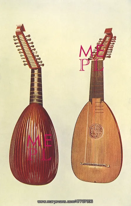  : Rare Italian Lute