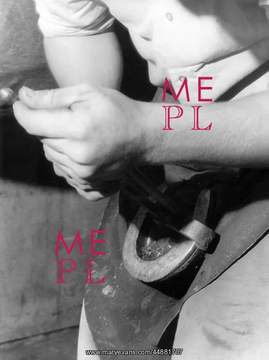 : RASPING A HOOF : RASPING A HOOF