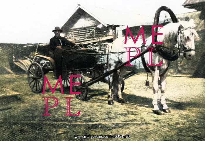 : RASPUTIN IN CARRIAGE : RASPUTIN IN CARRIAGE