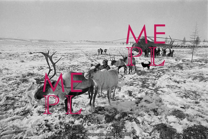 : Rastsvet Severa collective farm : Rastsvet Severa collective farm