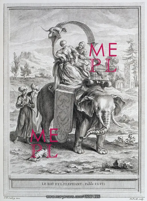 : The rat and the elephant : The rat and the elephant