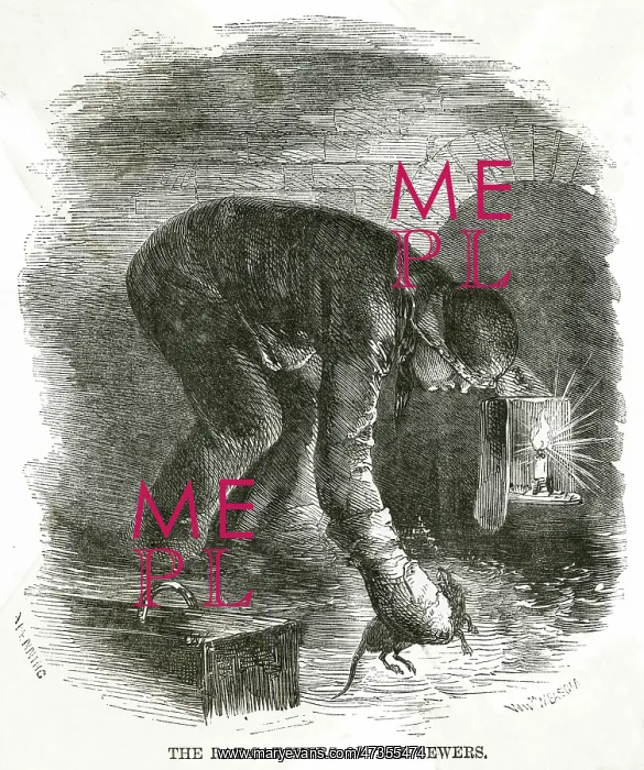 : RATCATCHER IN SEWER 1860s : RATCATCHER IN SEWER 1860s